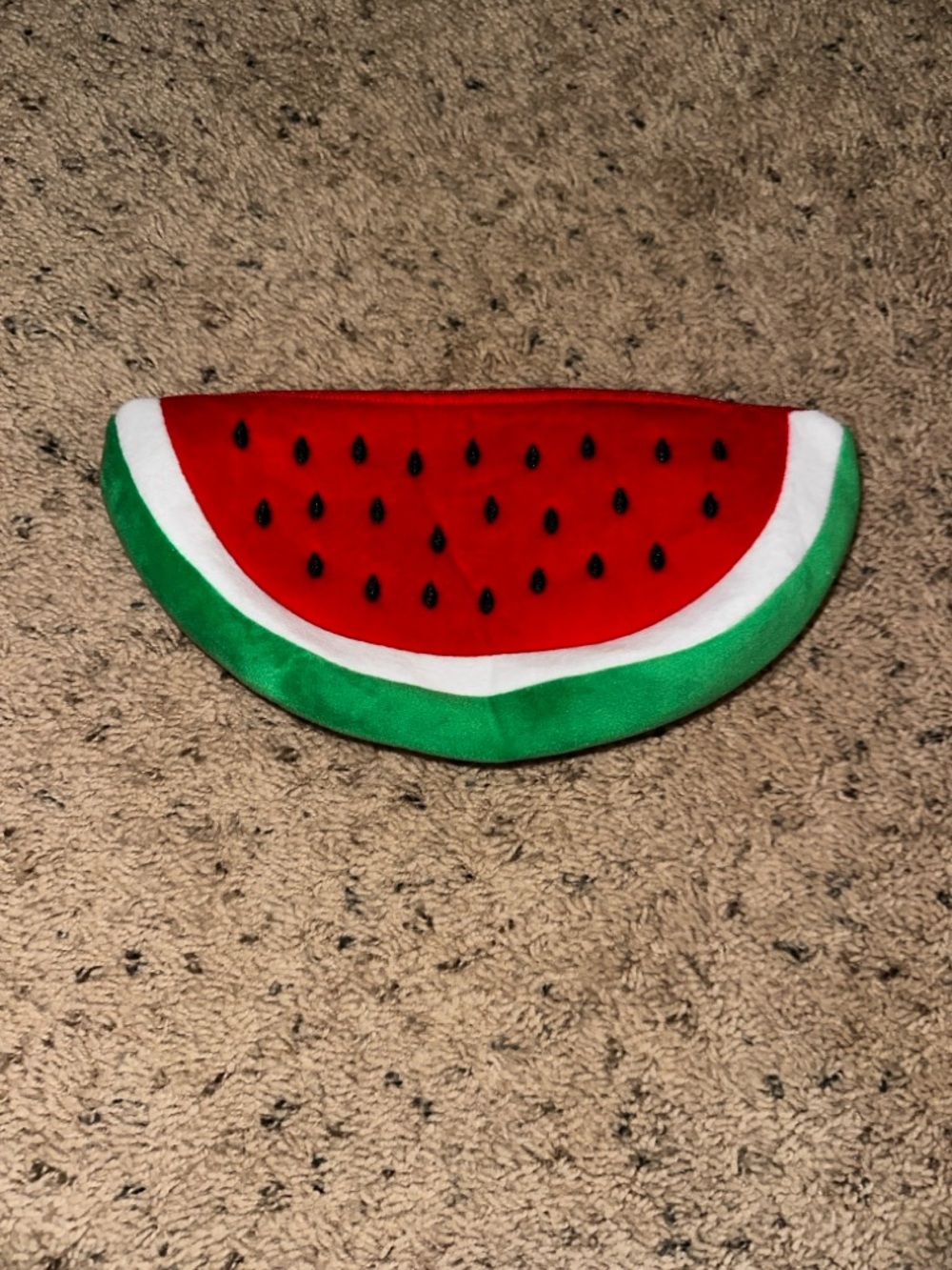 Watermelon Plush Pencil Case - Red & Green